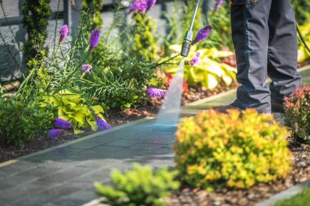 Basalt, CO  Pressure Washing Services Company